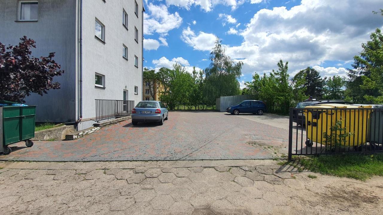 Jelen * Hajnowka